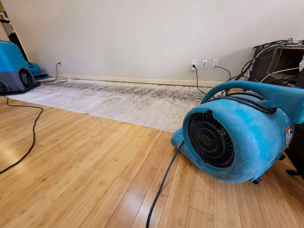 Professional Burst Pipe Water Damage technician working in Brownstown, IN